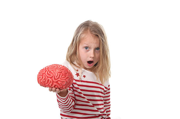 Brain Training Support Children with ADHD